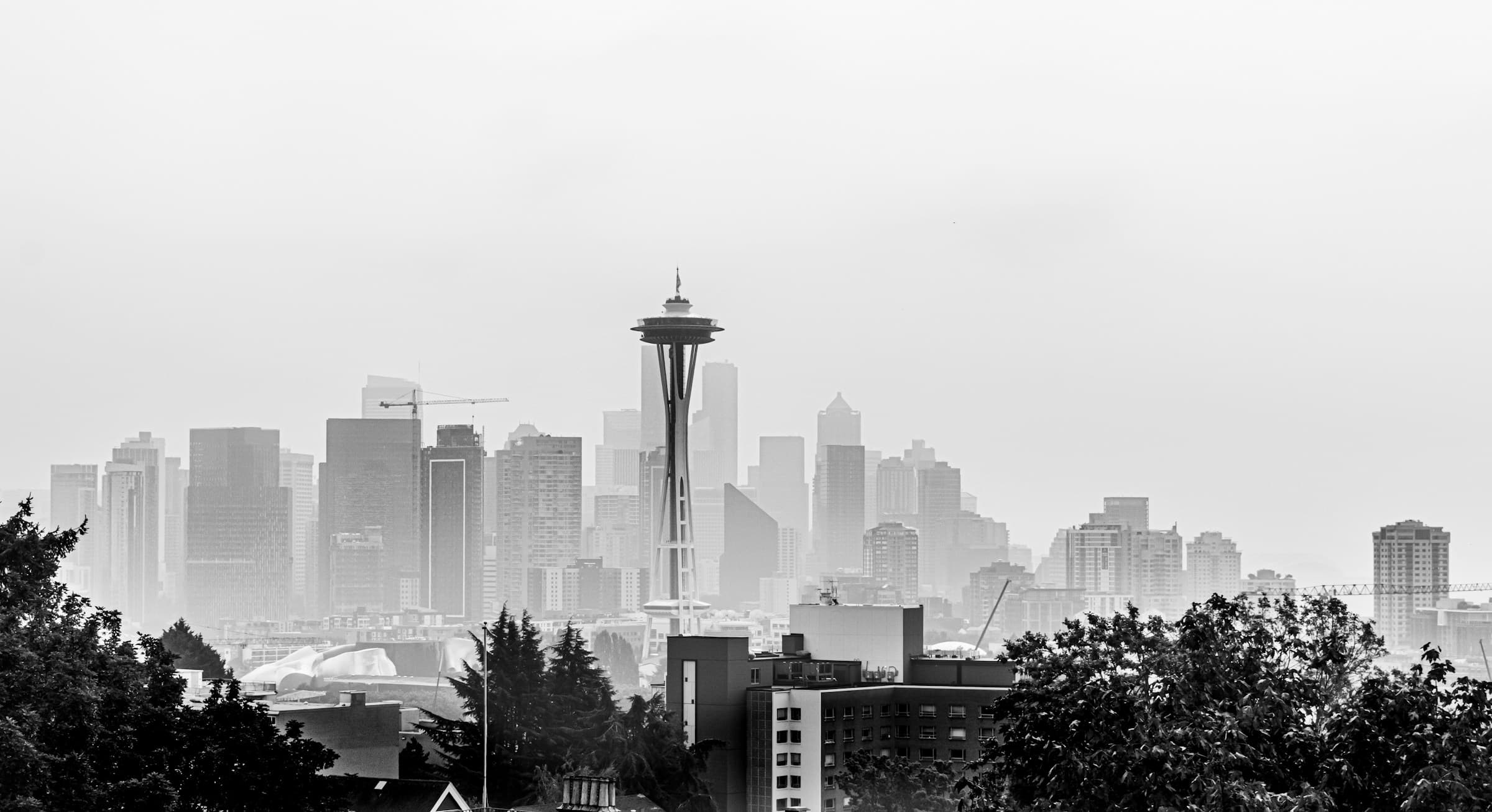 Seattle Luxury Drive hero